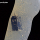 Illustration for article titled This is what a TARDIS dildo looks like